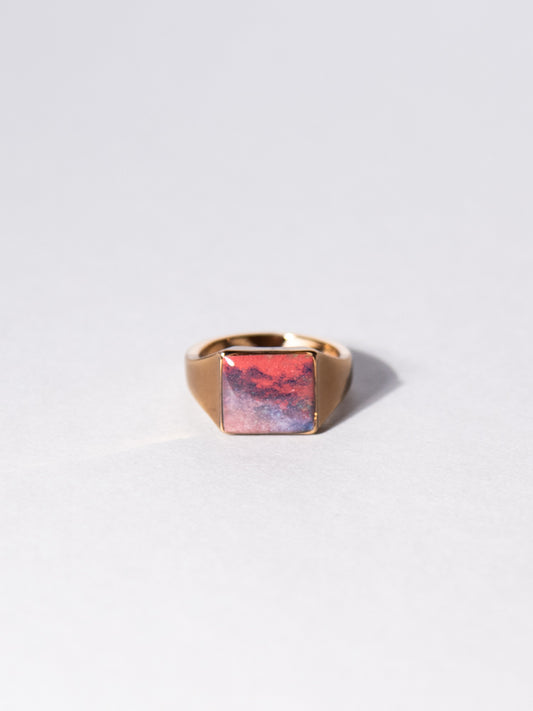 ring 48