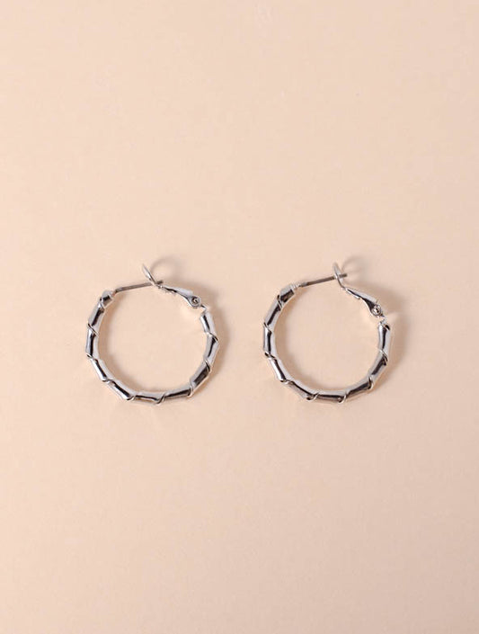 Pierce/earring 646 silver