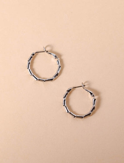 pierce/earring 646 silver