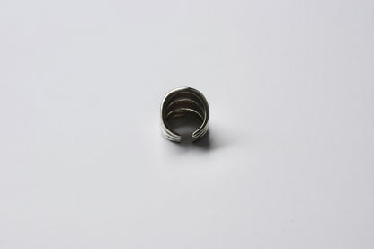 ring 339